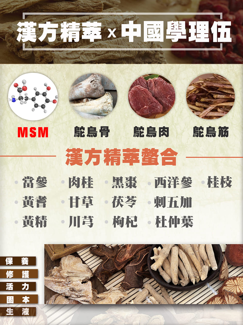 鴕鳥精,歡樂智多星介紹