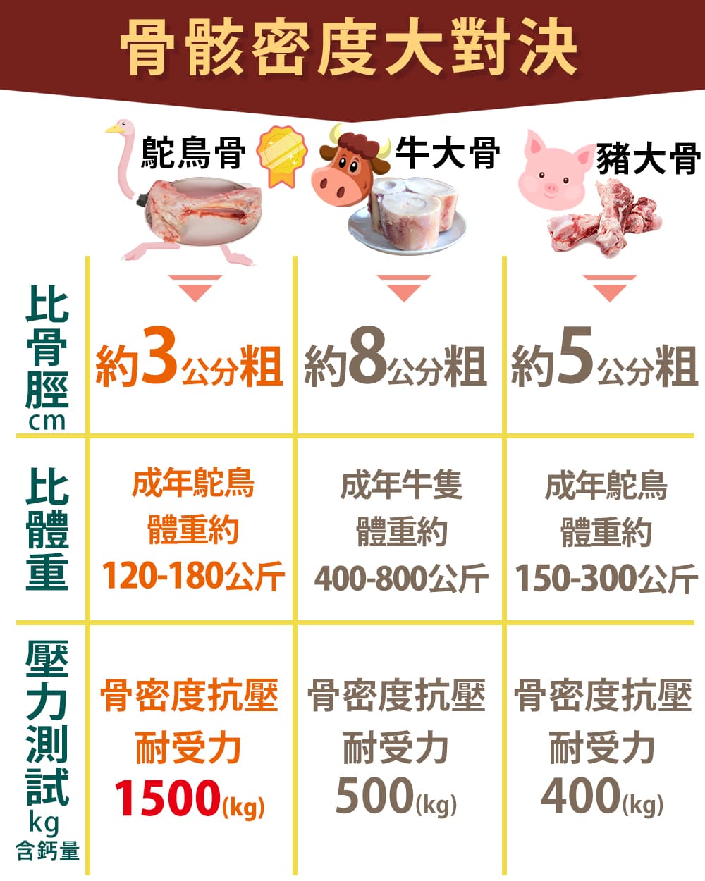 10-比較